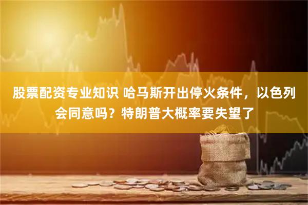 股票配资专业知识 哈马斯开出停火条件，以色列会同意吗？特朗普大概率要失望了