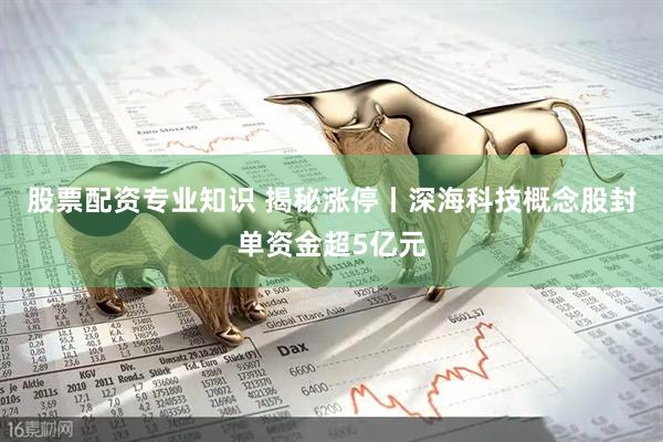 股票配资专业知识 揭秘涨停丨深海科技概念股封单资金超5亿元